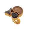 Alchemia Multi-Fossil Adjustable Ring - Timeless Treasures